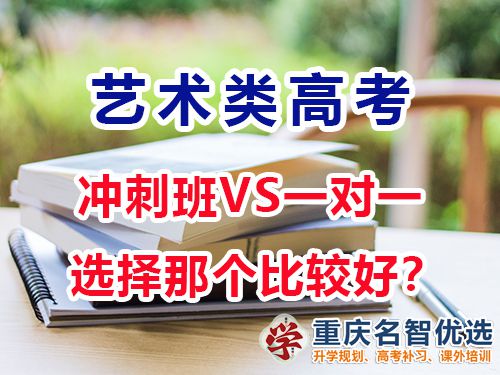 藝術(shù)生高考文化課沖刺班好還是一對(duì)一補(bǔ)習(xí)效果好？